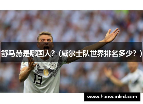 舒马赫是哪国人?(威尔士队世界排名多少?)